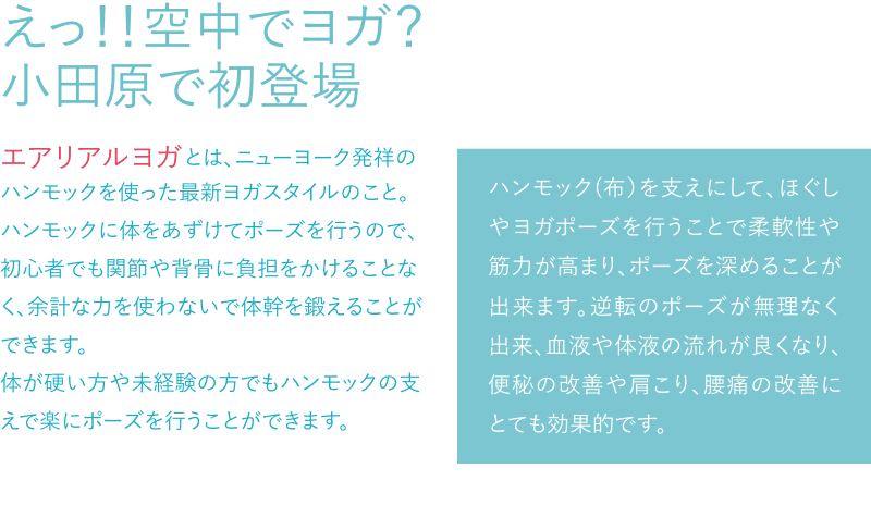 えっ！！空中でヨガ？小田原で初登場