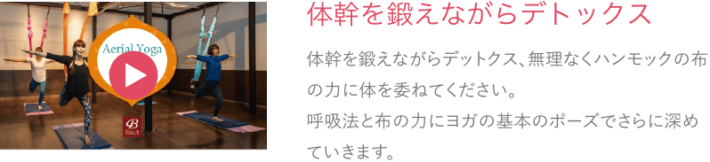 体幹を鍛えながらデトックス
