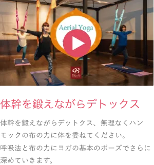 体幹を鍛えながらデトックス